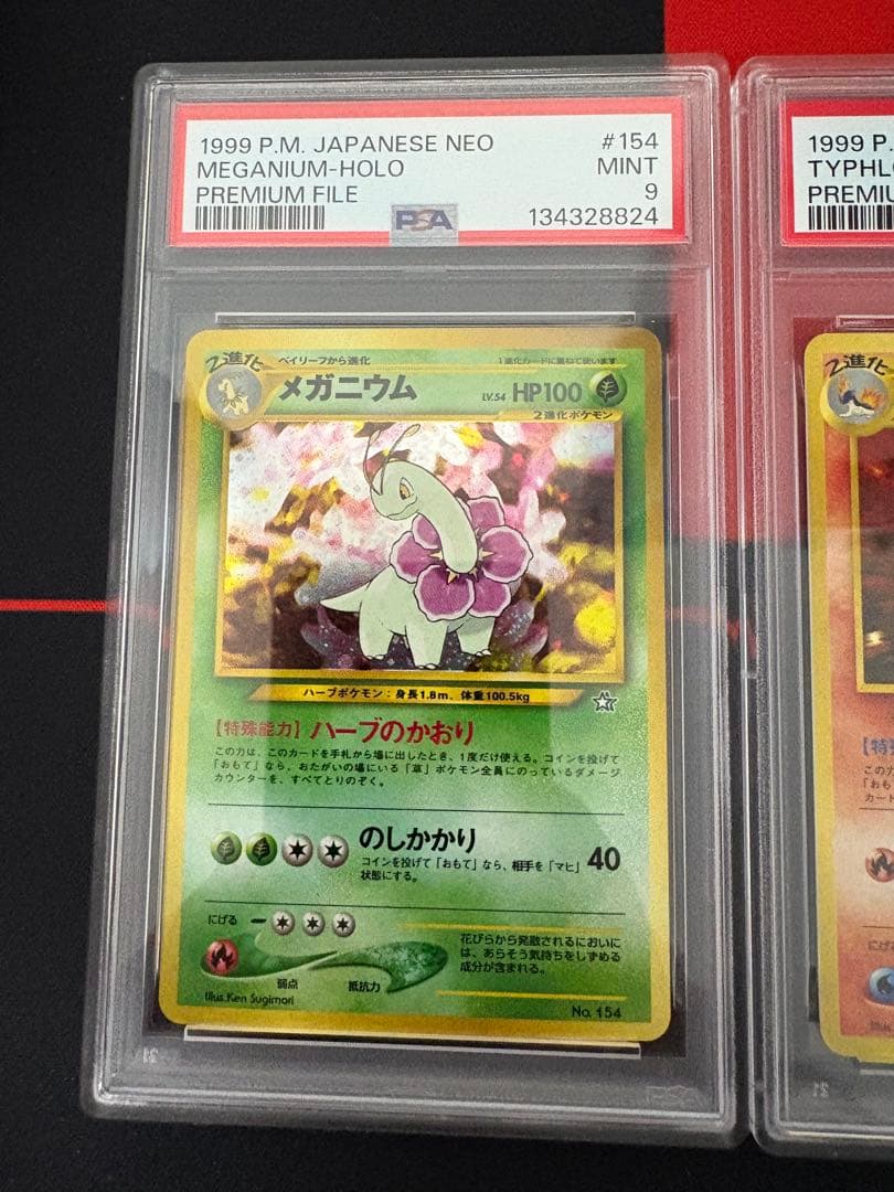3連番 旧裏 メガニウム バクフーン オーダイル 金銀　PSA10 PSA9