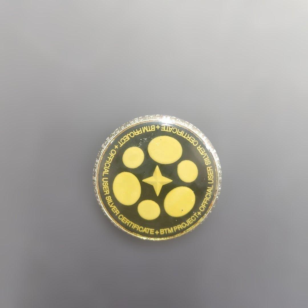 【希少】ボード BTM TRUST CLONE 147 × バイン FLUX