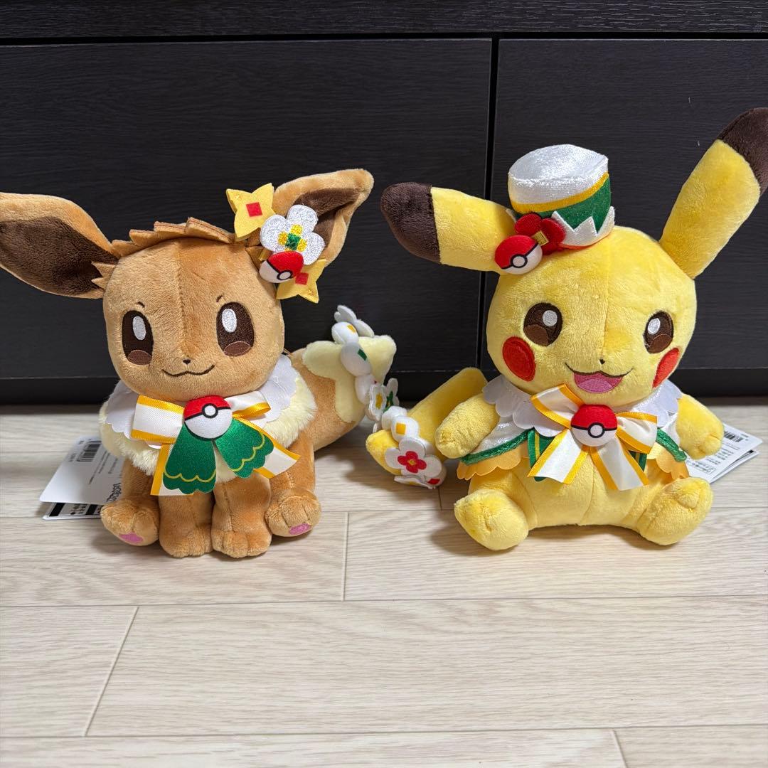 ポケパークカントー ぬいぐるみ カーニバル衣装 イーブイ＆ピカチュウ
