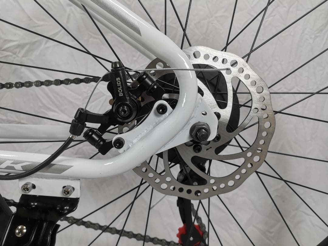 新品LS26 自転車 マウンテンバイク 21速10