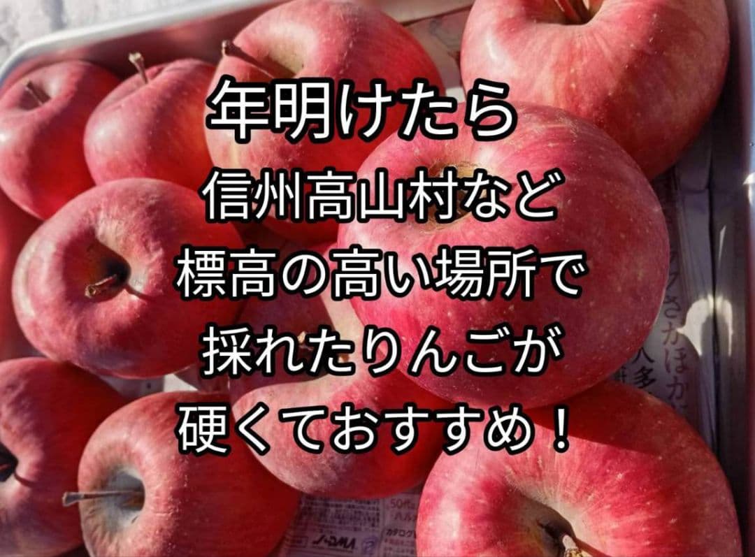 糖度21%！味は贈答用クラス15キロ【シャキシャキ】信州高山村産サンフジ
