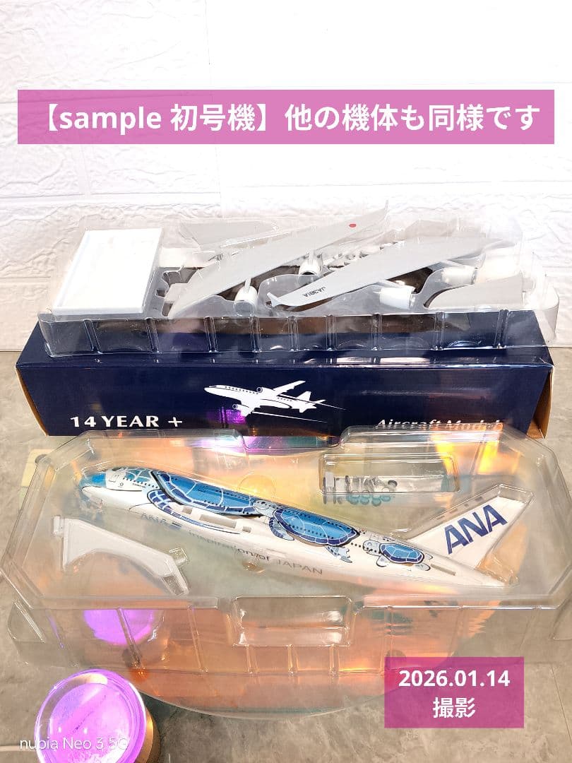 ⑥エアバス a380 ✕ 3点セット／Flying Turtle 約30cm