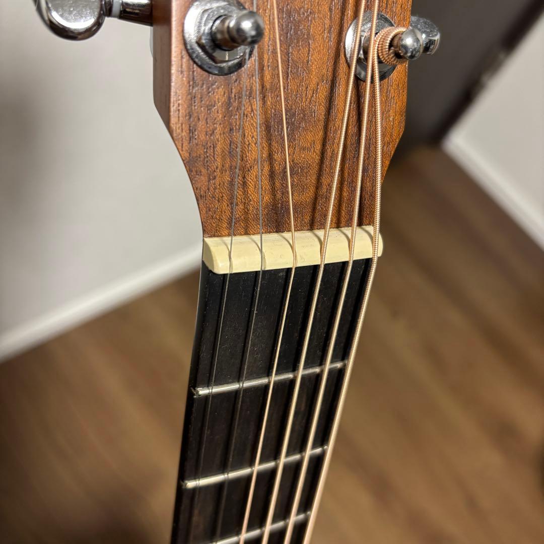 Taylor Baby Taylor-e Koa レフティ　左利き