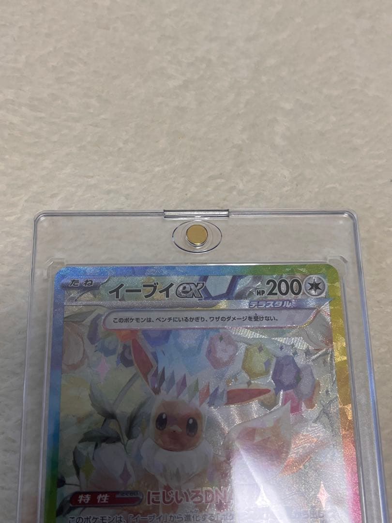 美品 イーブイex SAR テラスタルフェスex 223/187、224/187