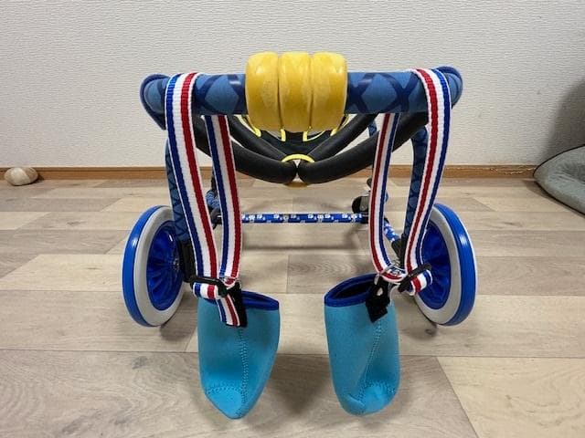 犬用車椅子、柴犬用車椅子4輪車、犬の車椅子