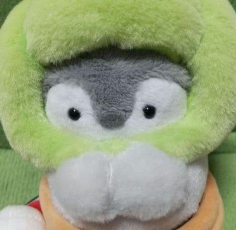 コウペンちゃん 邪ボテンになっちゃったなぬいぐるみ