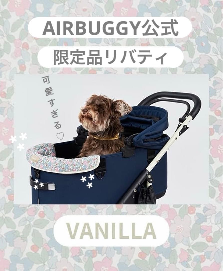 エアバギードーム3 公式コーナークッション リバティ vanilla 限定品