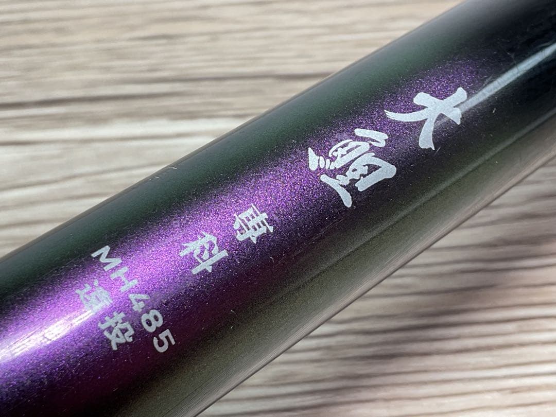 DAIWA ダイワ グローブライド 大鯉専科 MH485 遠投•N