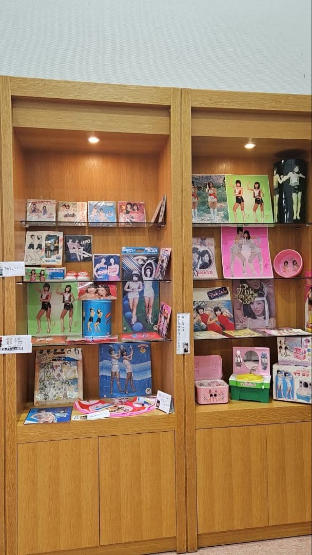 ペコさん専用B ピンクレディコレクション