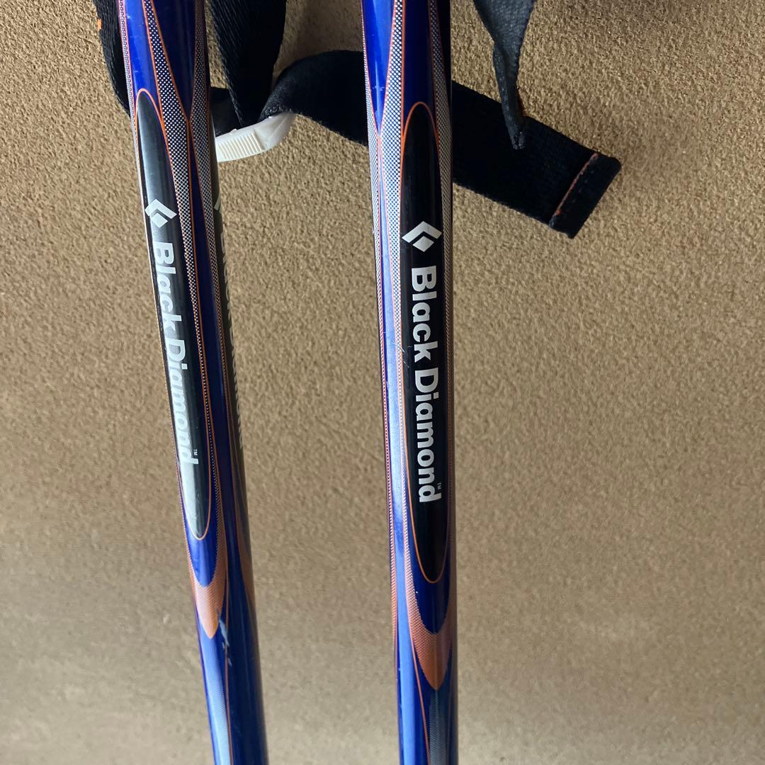  バックカントリー　スキー　2段伸縮ストック