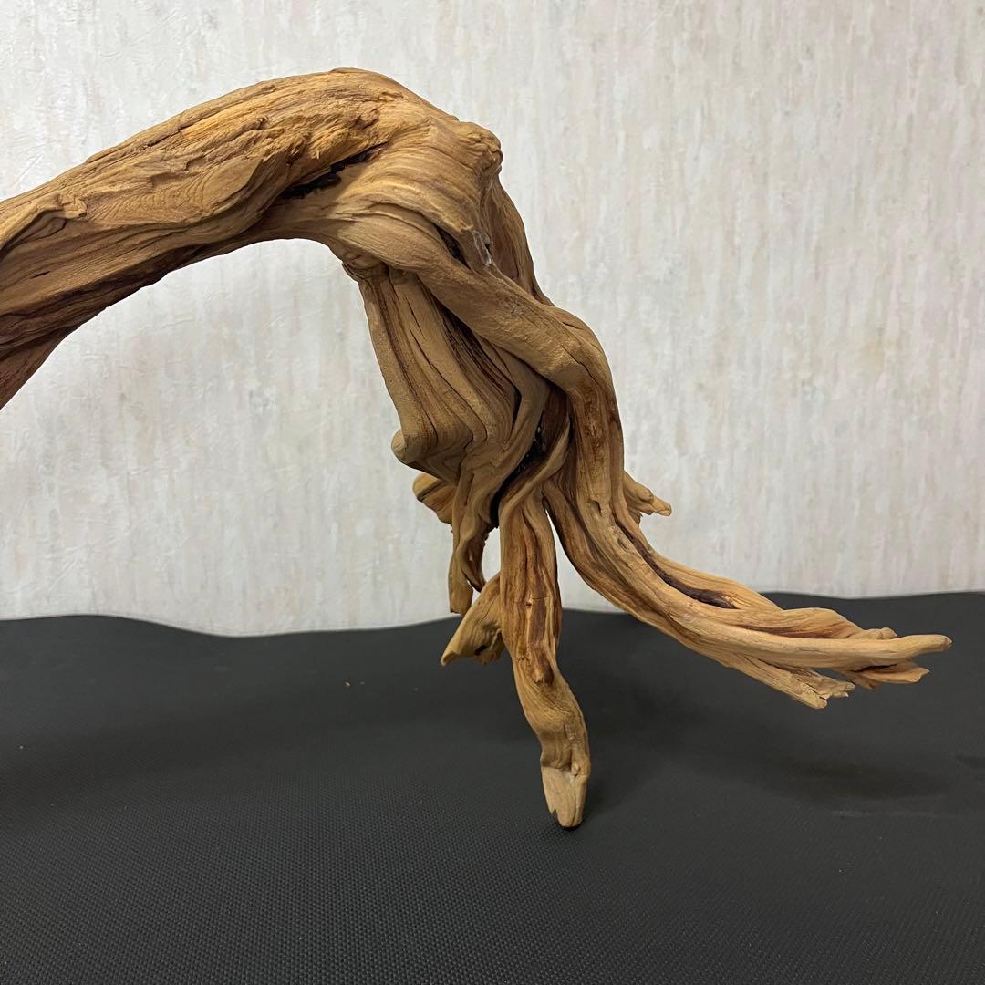 ADA ブランチウッド 流木 アクアリウム パルダリウム ビッグサイズ