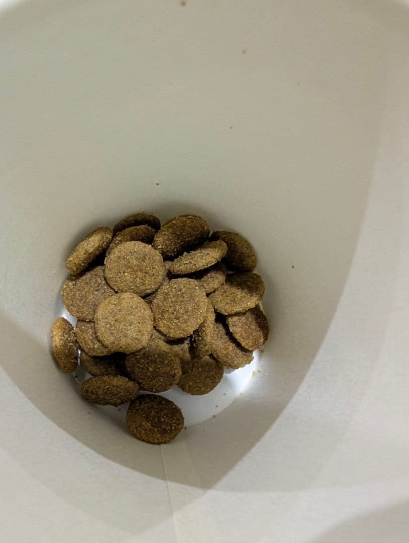 16日まで限定値下げブリーダーパックファーストチョイス 18kg ドッグフード