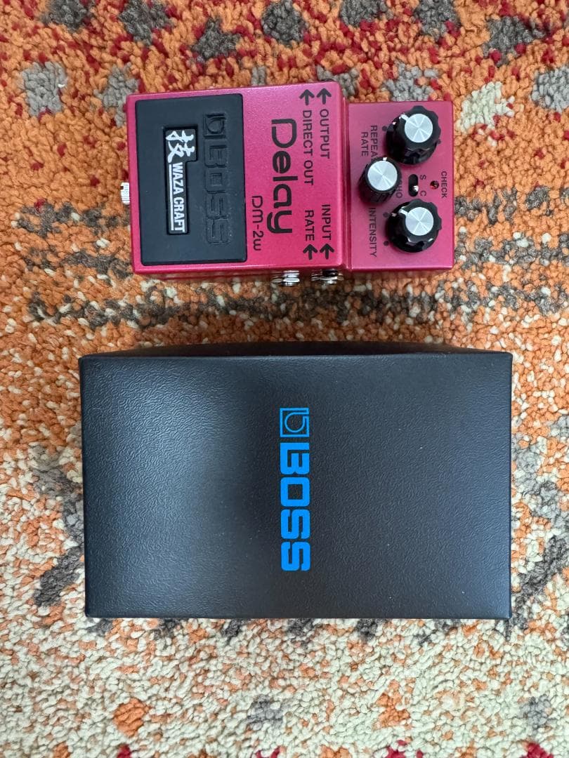 BOSS DM-2W Delay(技クラフト）
