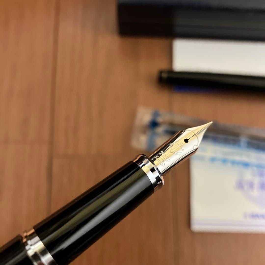 SAILOR 万年筆 18k TIGP