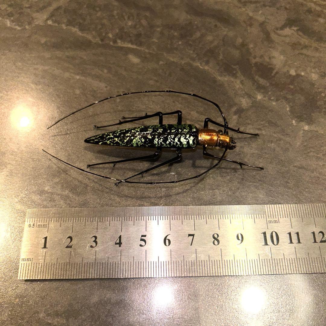 ベネチアングラス　カミキリムシ