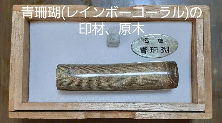 63 レア品！青珊瑚(レインボーコーラル)の印材、原木