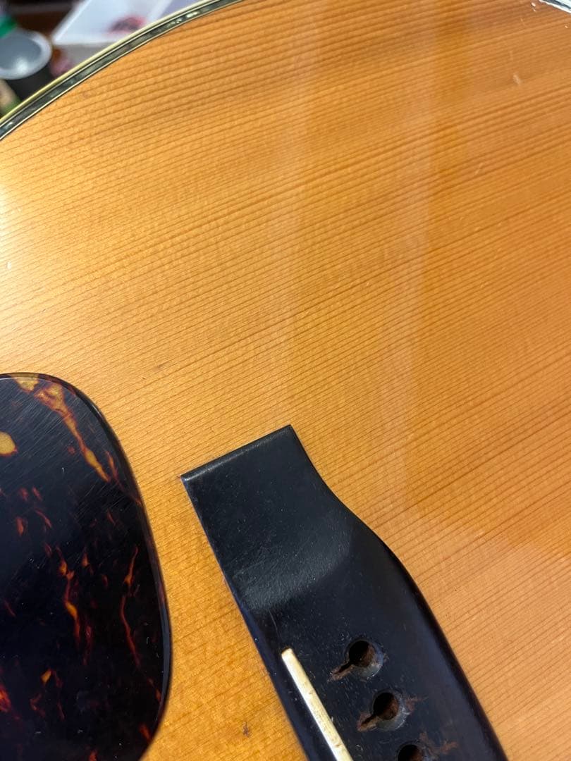 MORRIS Special 60 ハカランダサイドバック