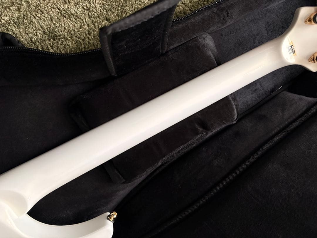 ESP ミスティーク