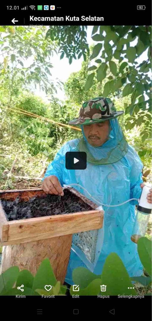 ササナミ様 バリ島 針なしミツバチの蜂蜜(完全非加熱)約140g 6本