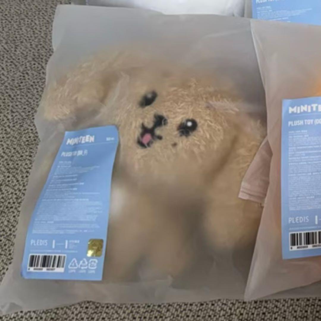 miniteen ドギョム ぬいぐるみ PLUSH TOY ドア