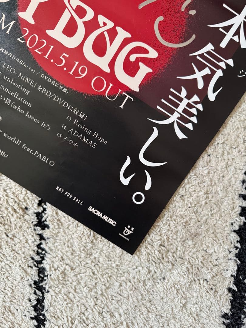 【美品】LiSA 直筆サイン入りポスター LADYBUG