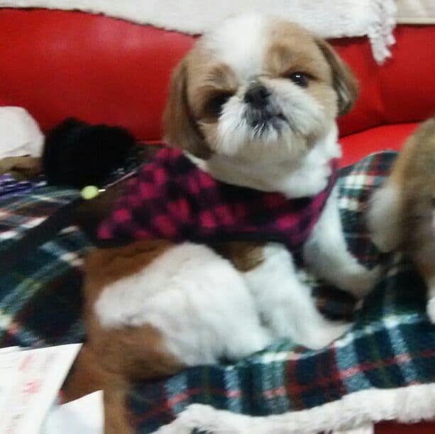 kei shop  様     確認用