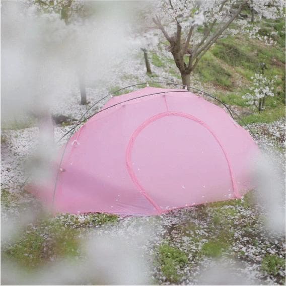 希少 新品 未使用 プレテント ライトロック 1P ピンク 専用FP付(おまけ)