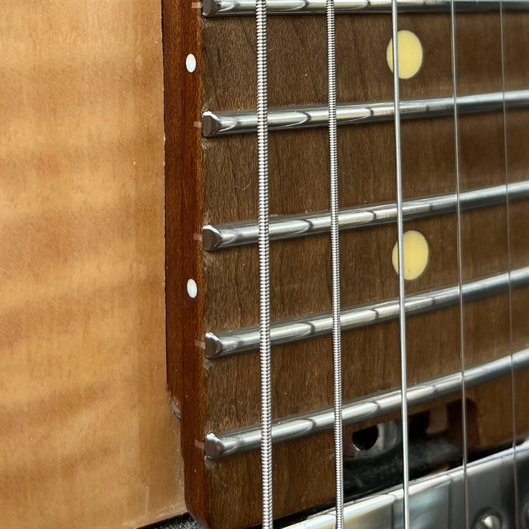 【動作◯】 Harley Benton Pro Series テレキャス