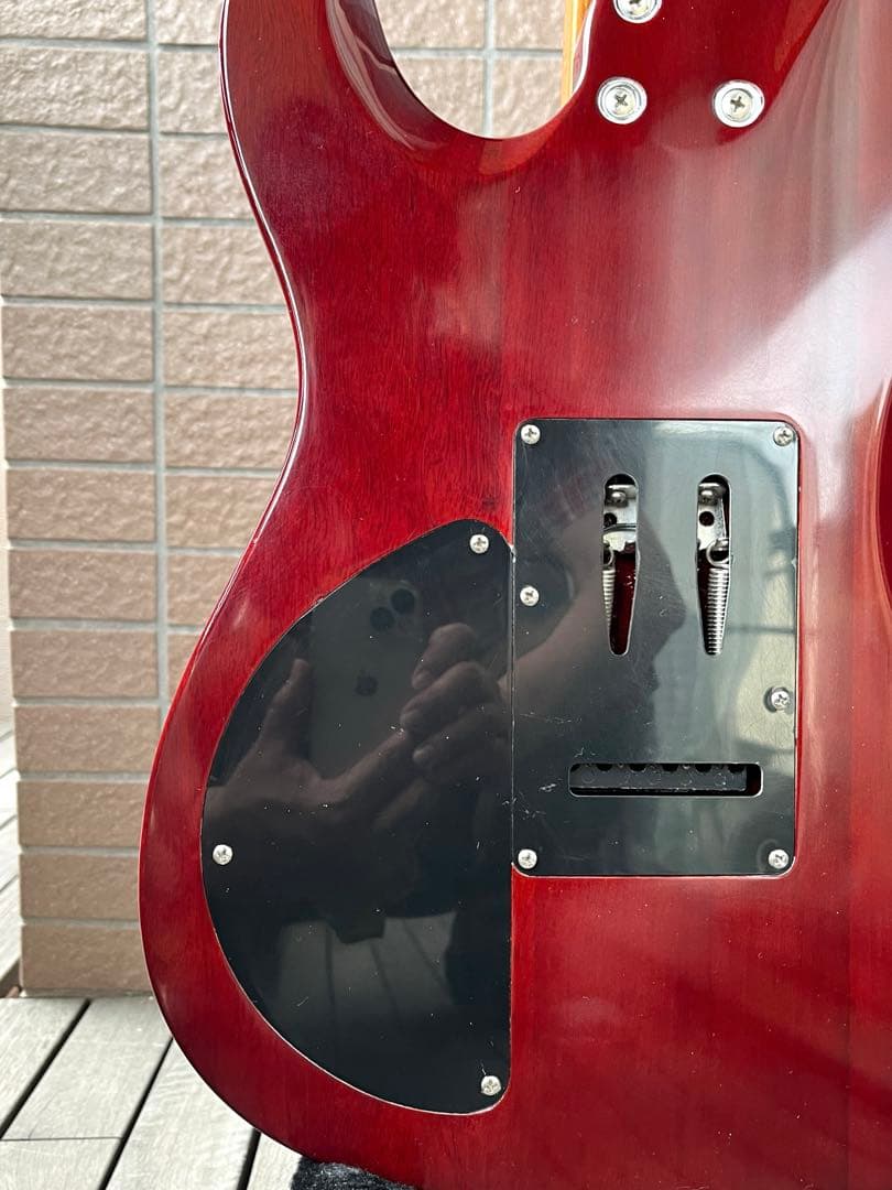 【動作◯】 Harley Benton Pro Series テレキャス