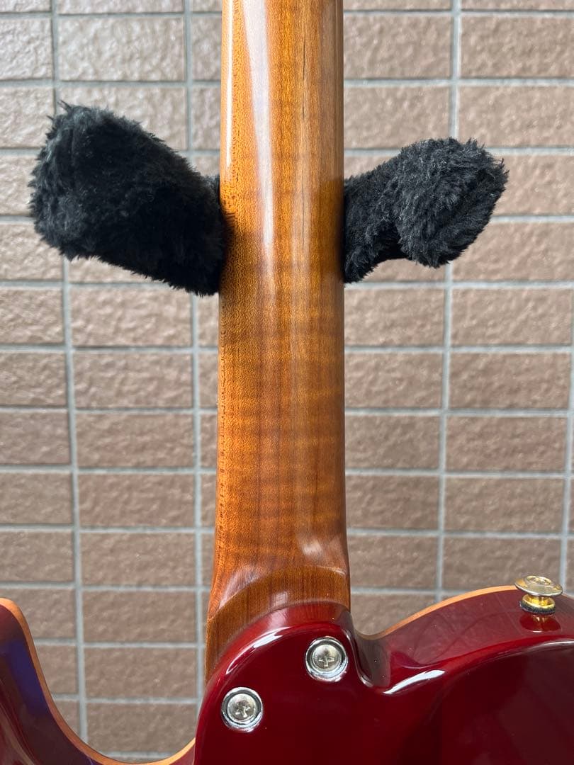 【動作◯】 Harley Benton Pro Series テレキャス