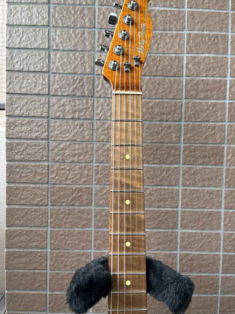 【動作◯】 Harley Benton Pro Series テレキャス