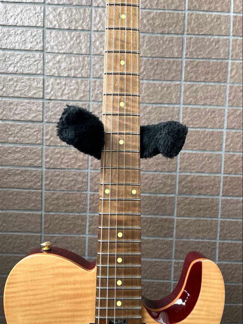 【動作◯】 Harley Benton Pro Series テレキャス