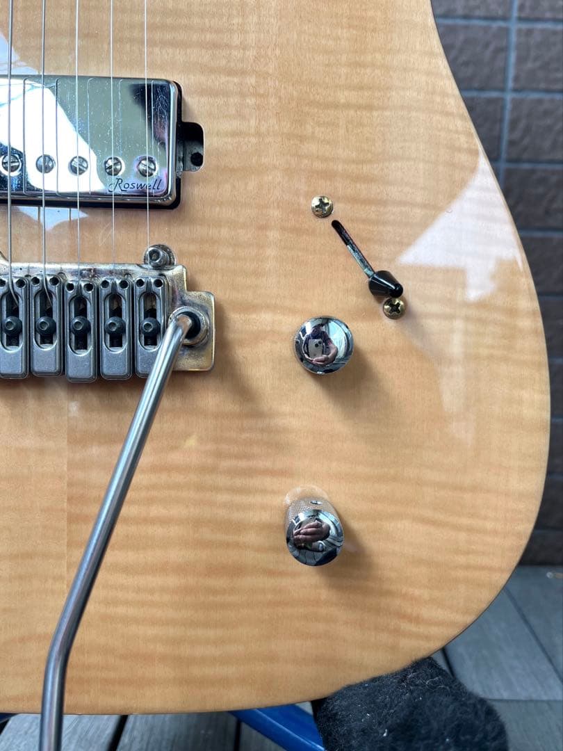 【動作◯】 Harley Benton Pro Series テレキャス