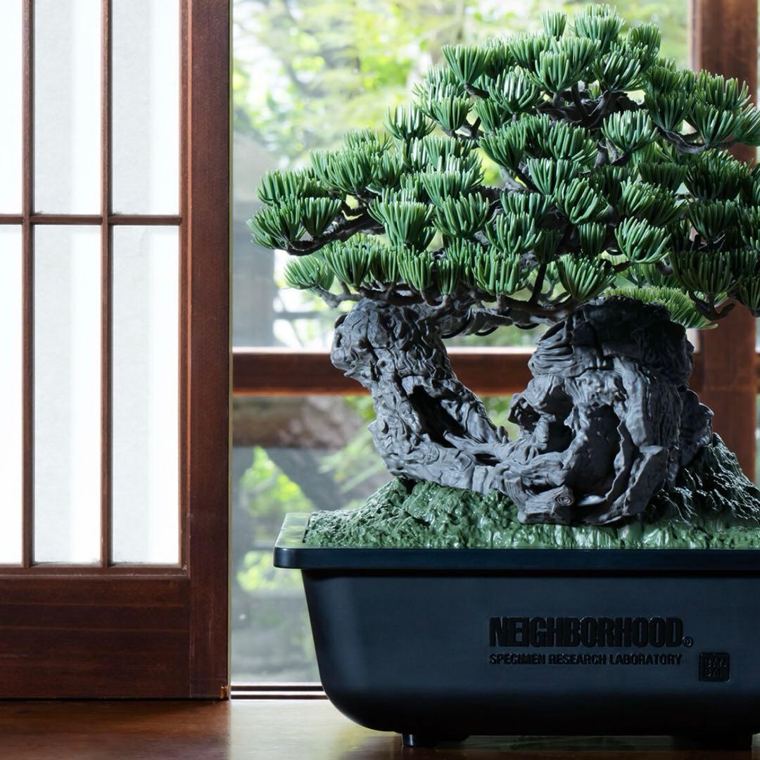 その他 SRL X BANDAI SPIRITS . BONSAI MODEL KIT