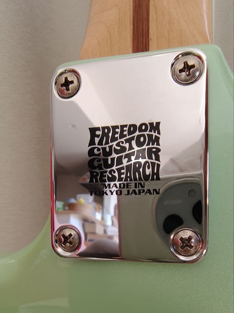 ギター Fender Mexico Duo-Sonic Surf Pearl 2018