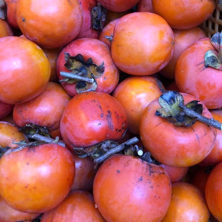 熊本県産渋柿　無農薬　数量限定　2025年は完売