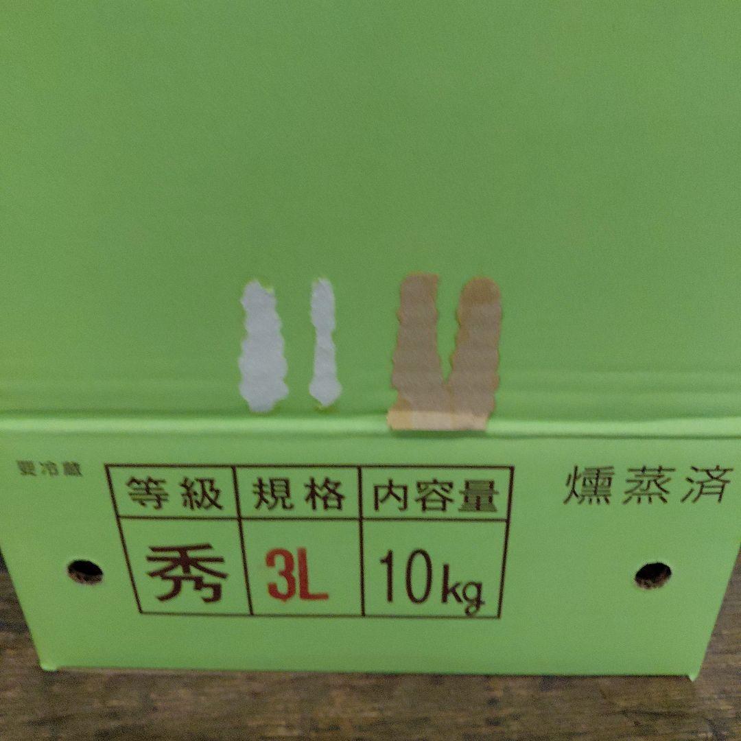 新鮮な栗 3Lサイズ 5kg JA山口美祢