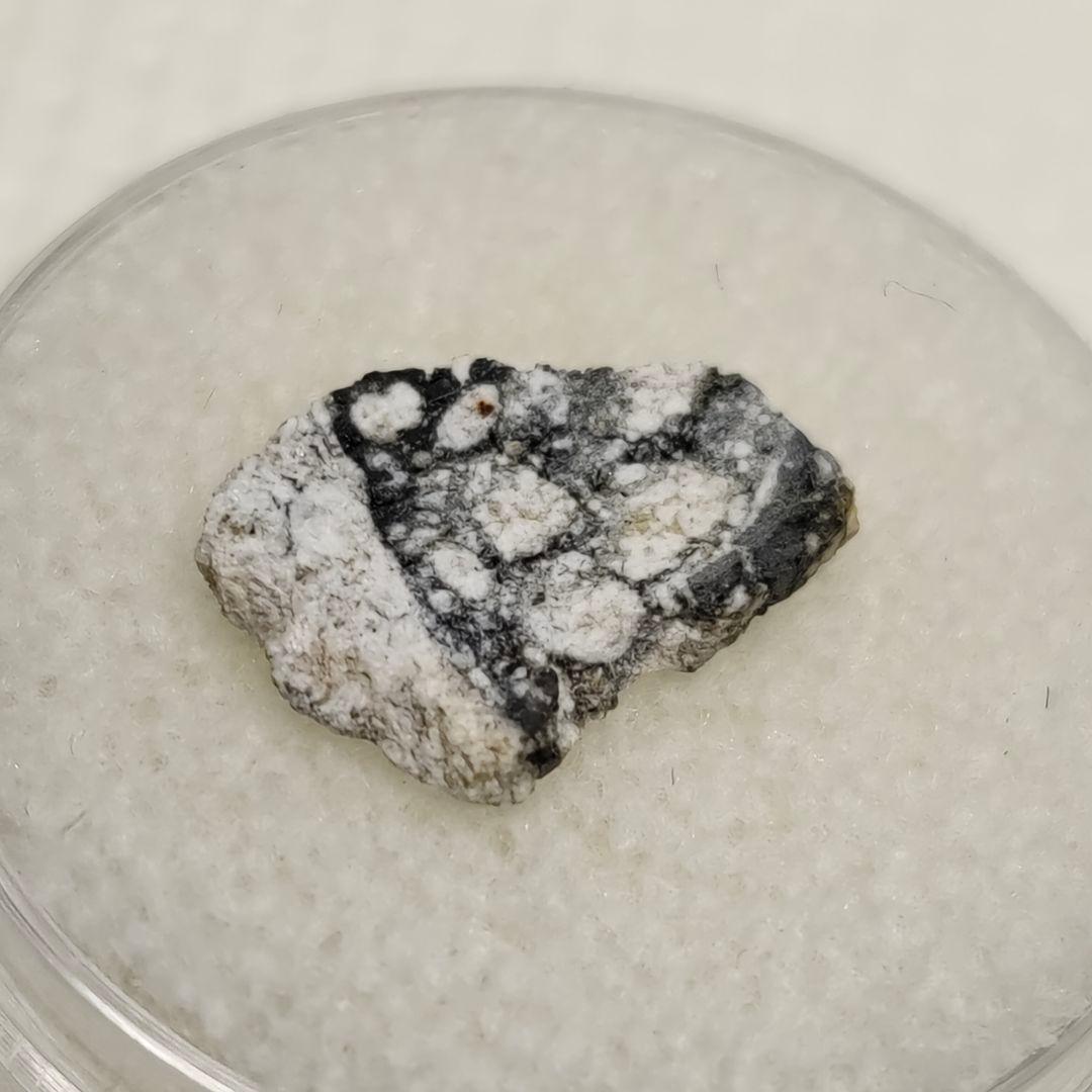 月隕石 NWA5000 320mg アダムホープ氏サインカード付き NO.399