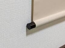 【真作】掛軸　田辺修二　遊鯉　日本画　吉祥画題　長寿繁栄　共箱入　U37