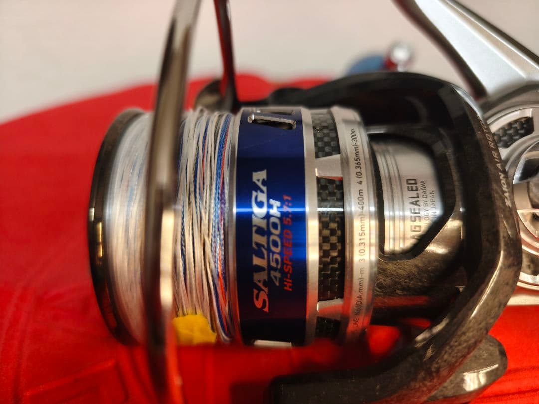 10 ソルティガ 4500H