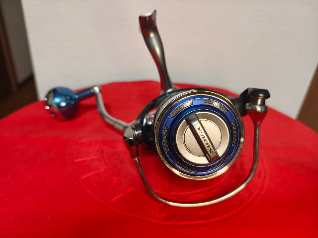 10 ソルティガ 4500H