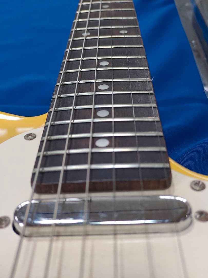 日本 有名メーカー バッカス Universe Series ソフトケース 付き