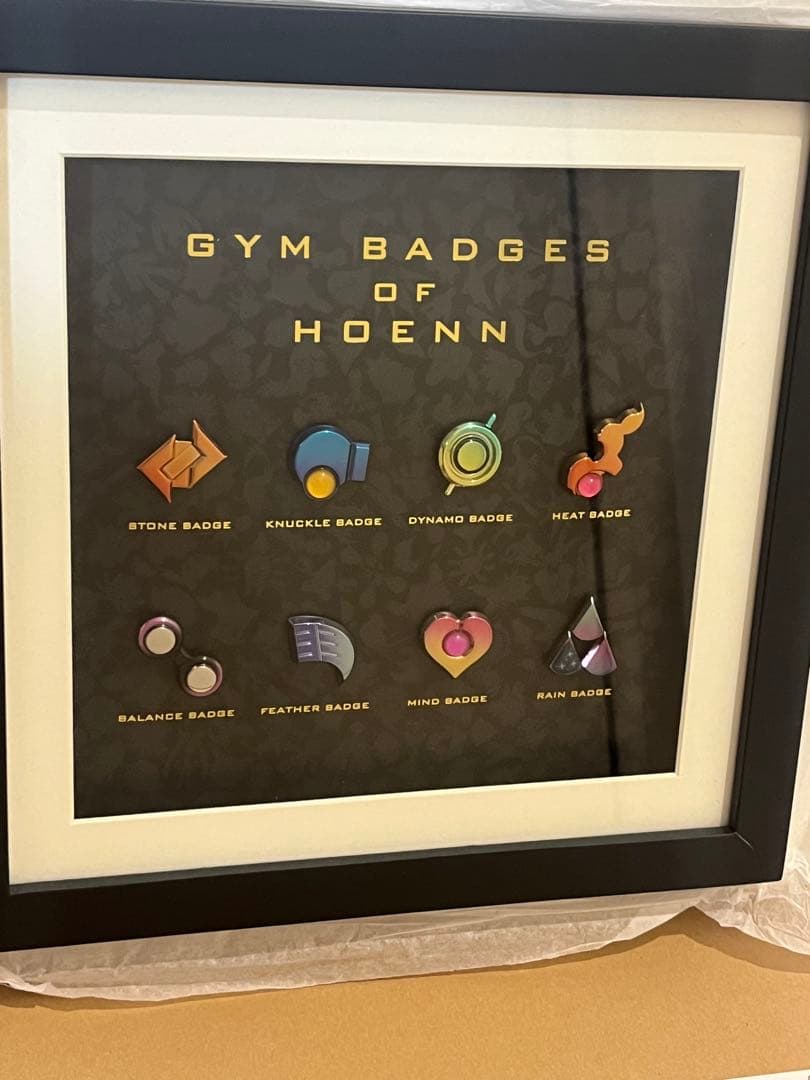 ポケモン ジムバッジコレクションコンプリートセット ホウエン