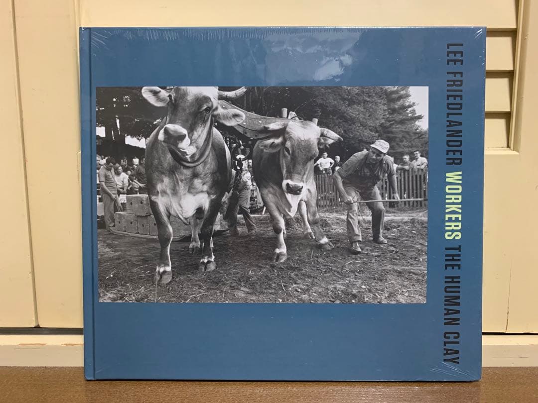 芸術写真 Lee Friedlander : Workers Human Clay