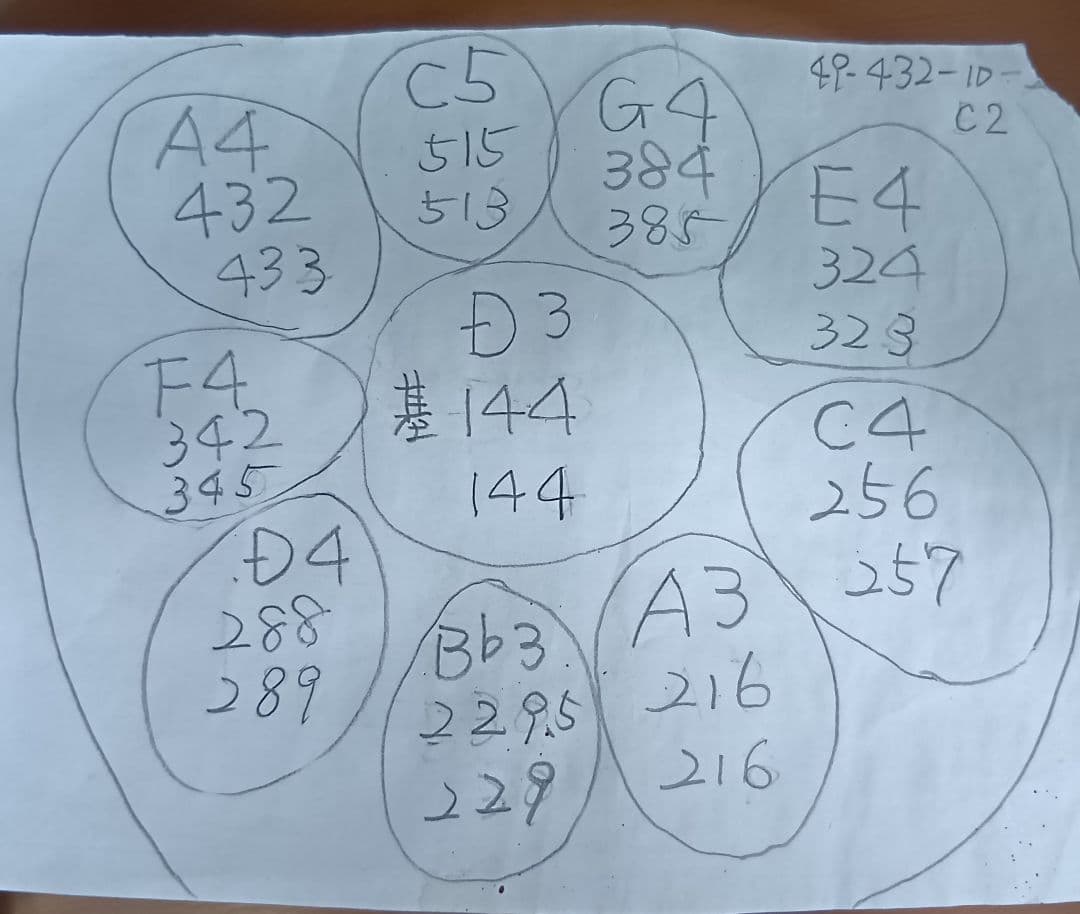 ハンドパン　小ぶりの49センチ　10音　Dマイナー　A＝432Hz