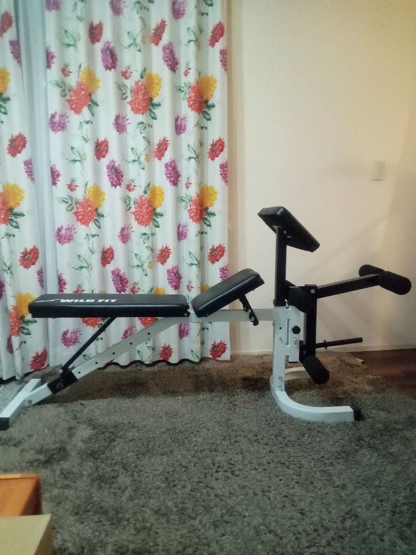 （引き取り限定）WILD FIT 調整可能トレーニングベンチ