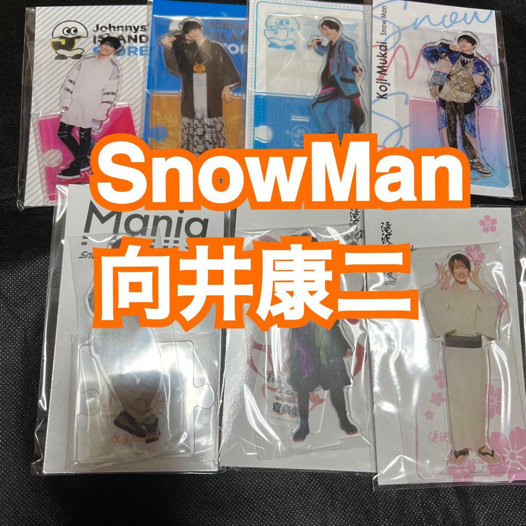 Man 向井康二 アクスタ アクリルスタンド RAYS