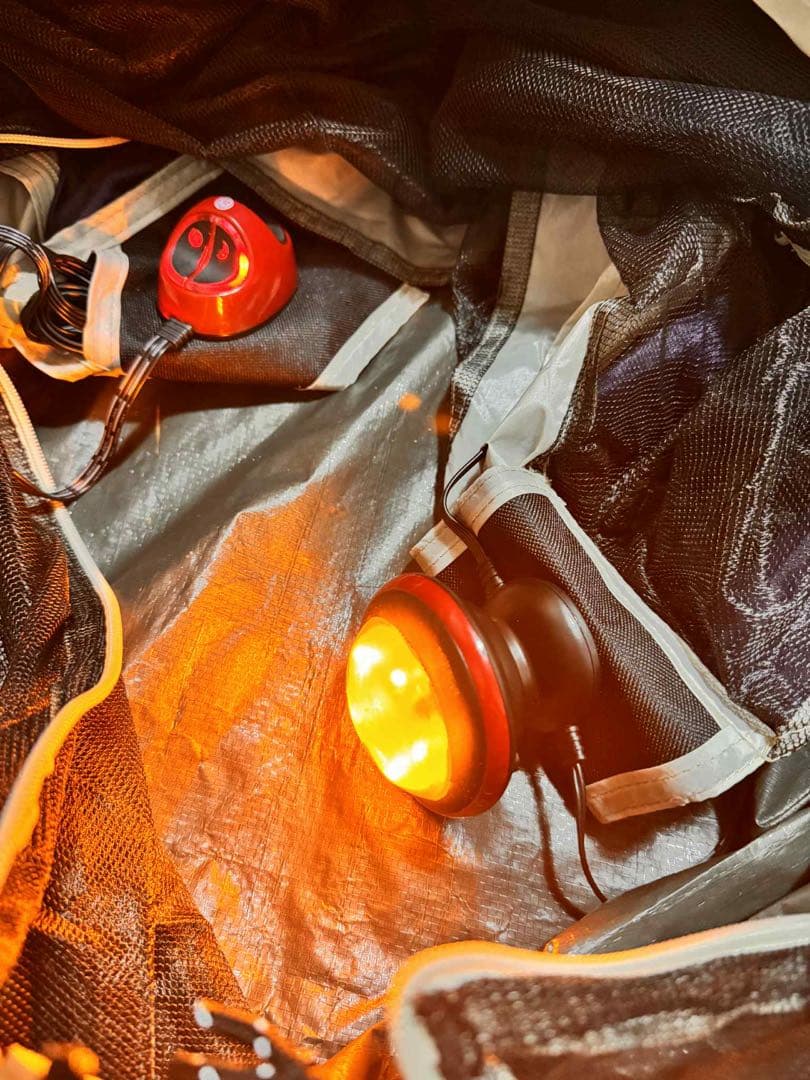 最終値下げ【希少】アメリカ版　Coleman エリートウエザーマスターテント