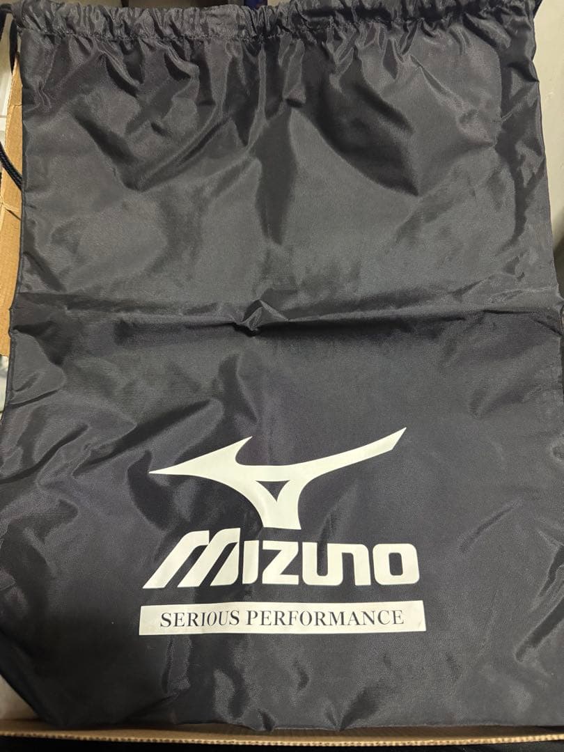 Mizuno バレーボールシューズ ウェーブライトニング6