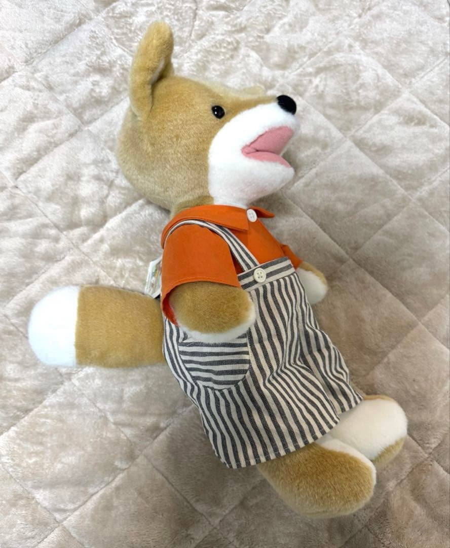 こんとあき　ぬいぐるみ【M】&絵本セット